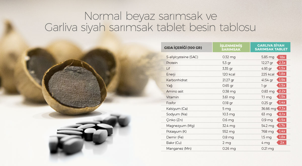 Normal beyaz sarımsak
