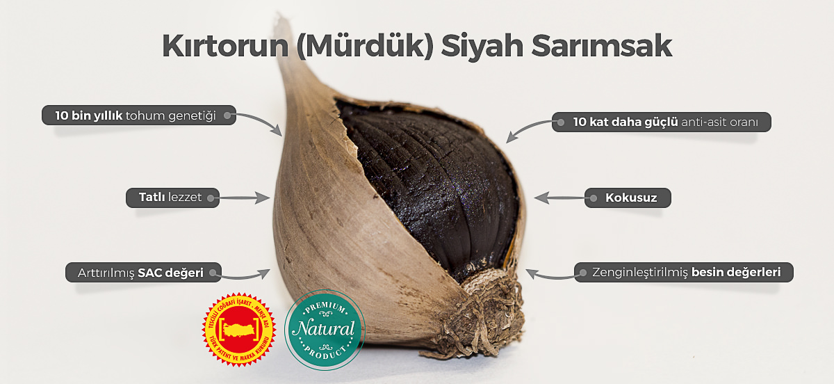 Kirtorun siyah sarimsak